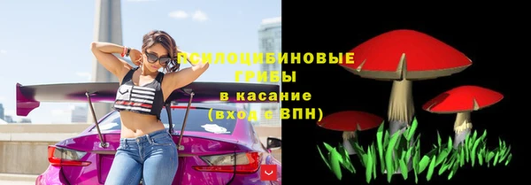 меф Бородино