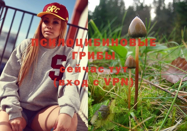 MDMA Premium VHQ Бугульма